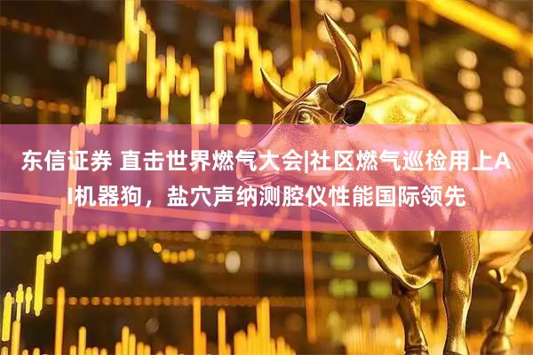 东信证券 直击世界燃气大会|社区燃气巡检用上AI机器狗，盐穴声纳测腔仪性能国际领先