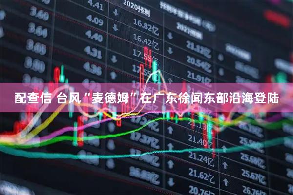 配查信 台风“麦德姆”在广东徐闻东部沿海登陆