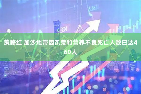 策略红 加沙地带因饥荒和营养不良死亡人数已达460人