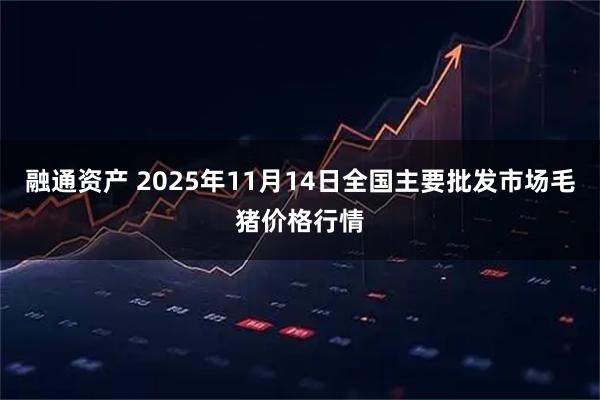融通资产 2025年11月14日全国主要批发市场毛猪价格行情
