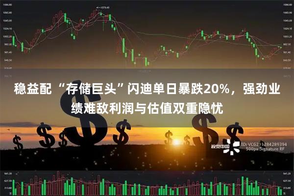 稳益配 “存储巨头”闪迪单日暴跌20%,强劲业绩难敌利润与估值双重隐忧