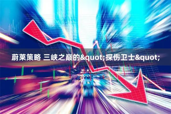 蔚莱策略 三峡之巅的"探伤卫士"