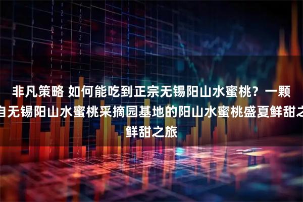 非凡策略 如何能吃到正宗无锡阳山水蜜桃？一颗来自无锡阳山水蜜桃采摘园基地的阳山水蜜桃盛夏鲜甜之旅