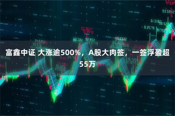 富鑫中证 大涨逾500%，A股大肉签，一签浮盈超55万